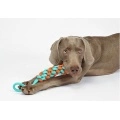 Dog Rope Toys