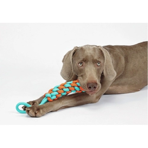 Dog Rope Toys