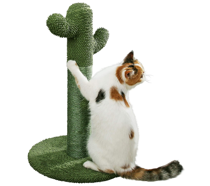 Cat Scratching Post With Teaser Ball