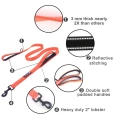 Training Walking Dog Lead