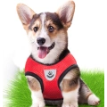 Breathable Reflective Dog Harness with Leashes