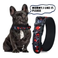Soft Lining Padded Dog Collar