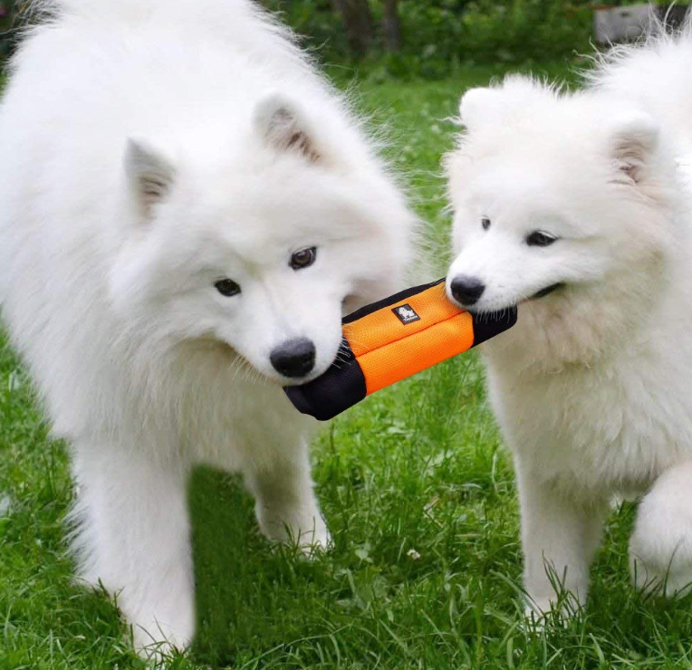 Doggie Treat Pouches