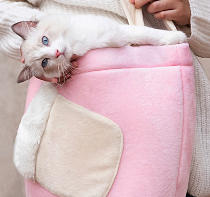 Dog Outing Backpack