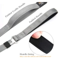2 Paded Handles Dog Leash