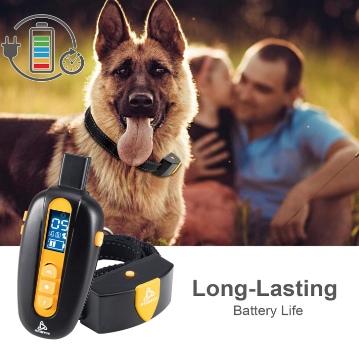 Dog Training No Bark Collar