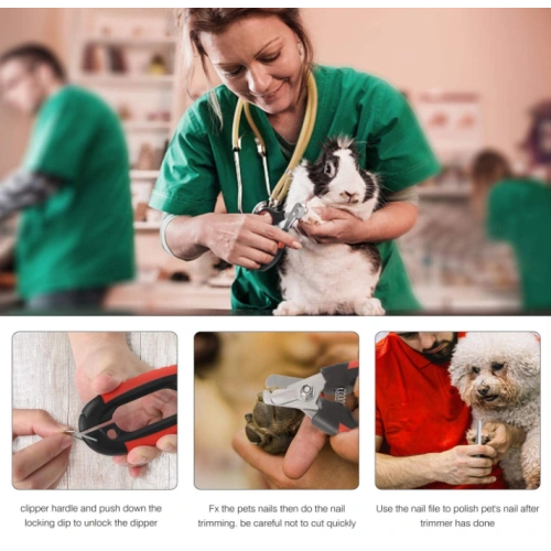 Dogs Nail Clippers Trimmer Set