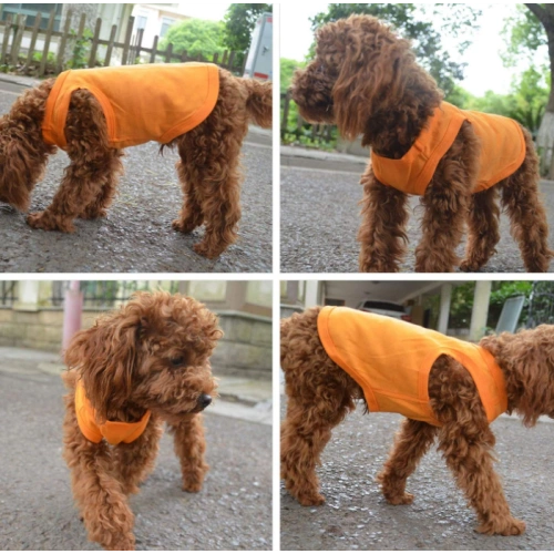 Puppy Dog Clothes Blank T-Shirt Tee Shirts
