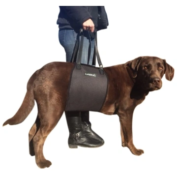 Adjustable Straps Support Dog Harness