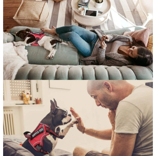 Upgrade Fabric and Reflective Dog Harness