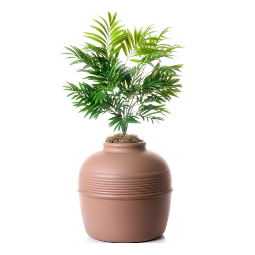 Plant Hidden Cat Litter Box