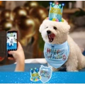 Dog Birthday Bandana with LED Hat