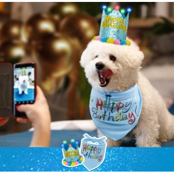Dog Birthday Bandana with LED Hat