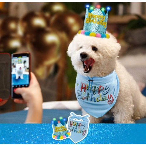 Dog Birthday Bandana with LED Hat