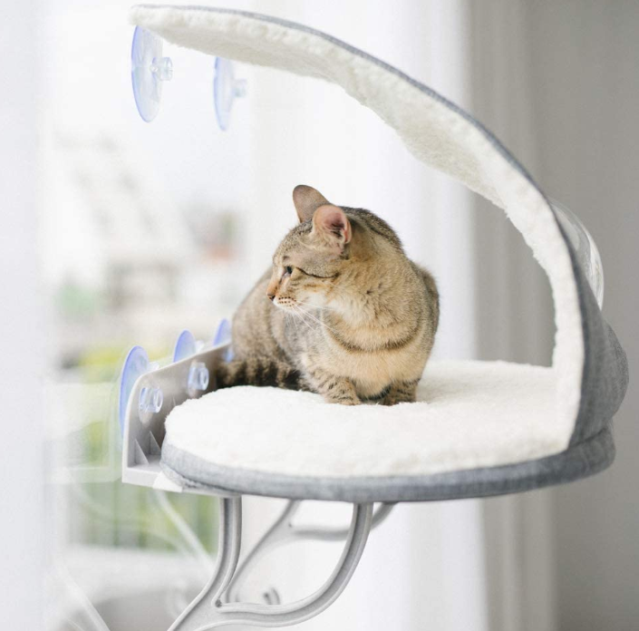 Mount Kitty Sill With Hood