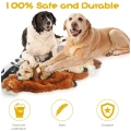 5 Pack Two Squeaky Cute Animals dog toys