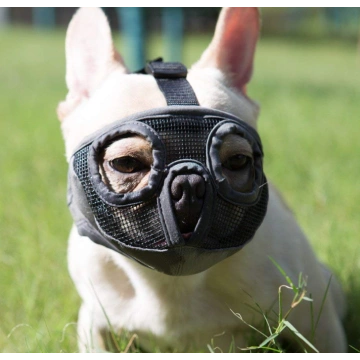 Short Snout Dog Muzzle