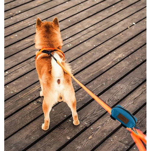 Quality Dog Poop Bag Dispenser