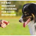Dog Training Whistle KIT