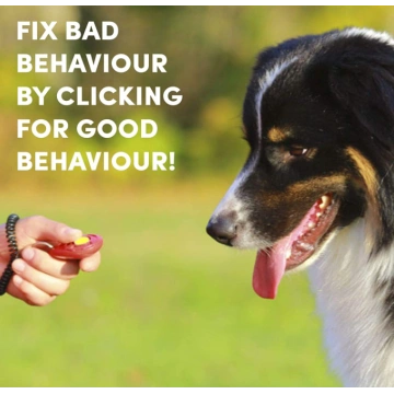 Dog Training Whistle KIT