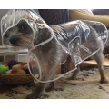 Pet Dog Raincoat Waterproof