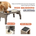 Pet Food Water Feeder Bowls