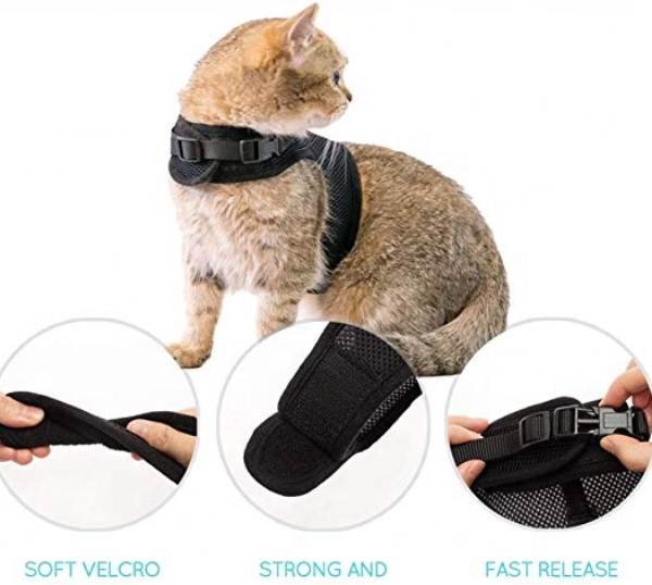 Pet Walking Harness