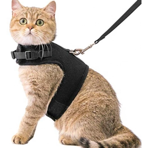 Pet Cat harness adjustable with leash