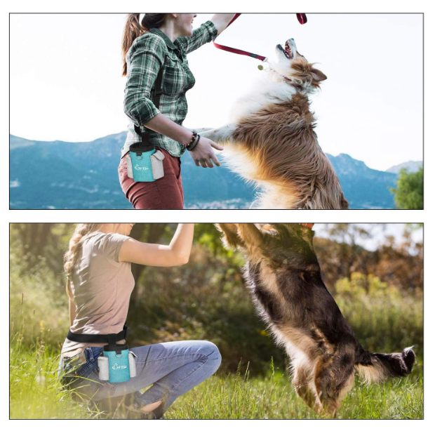 Pet Treat Tote Carry Snacks for Trainings