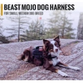 Small Medium Puppy Dog Harness