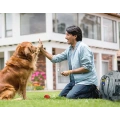 Effective Training Tools for Puppy or Cat