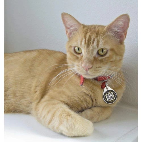 Smart Round Dog ID Tag