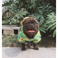 Dog Hawaiian T-Shirt Apparel