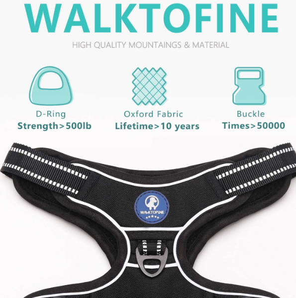 French Bulldog Harness