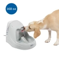 Cat and Dog Water Fountain