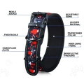 Soft Lining Padded Dog Collar