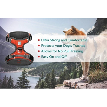 Heavy Duty Dog Harness