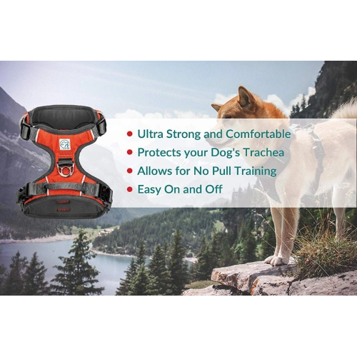 Heavy Duty Dog Harness