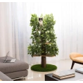 Cat Trees with Leaves