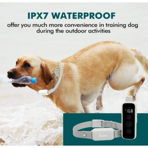 1000Ft Remote Range Waterproof Dog Collar