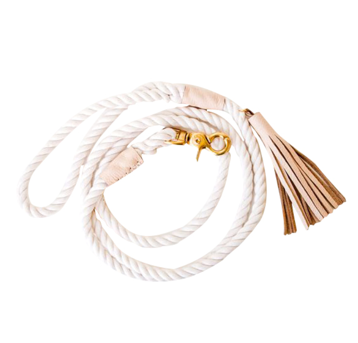 Dog Walking Leash