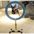 Indoor Outdoor Pet Training Equipment