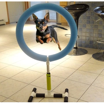 Indoor Outdoor Pet Training Equipment