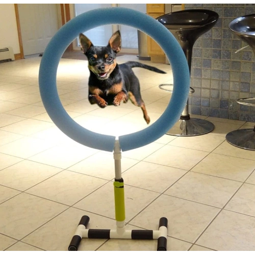 Indoor Outdoor Pet Training Equipment