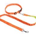 Multicolor nylon adjustable hands free dog bungee leads