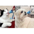 Small Animal Travel Water Bottle