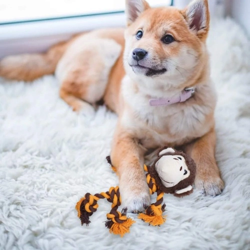 Squeaky Dog Teething Toy