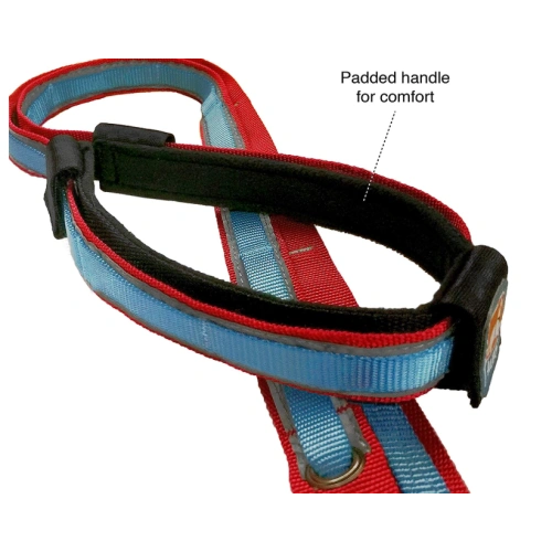6 in 1 Hands Free Dog Leash