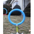 Indoor Outdoor Pet Training Equipment
