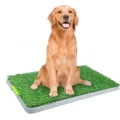 Dog Pee Pad for Potty Training